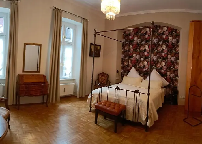 Historischer Winzerverein Boutique 別荘